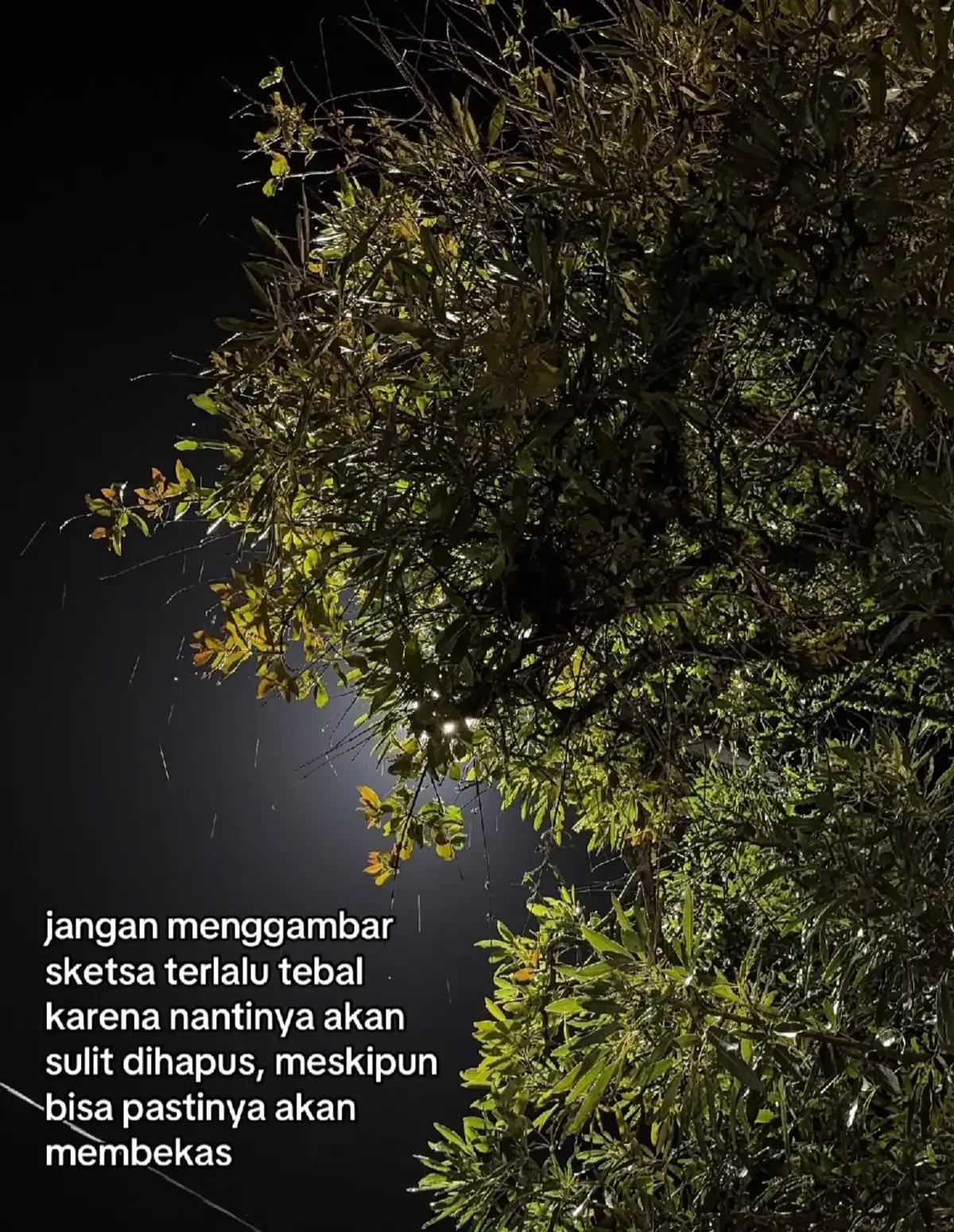#viraltiktok #fypシ゚ 