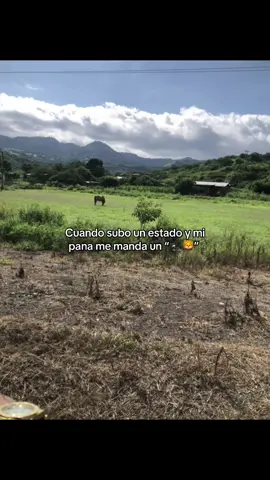 #🦁 Jajaj 
