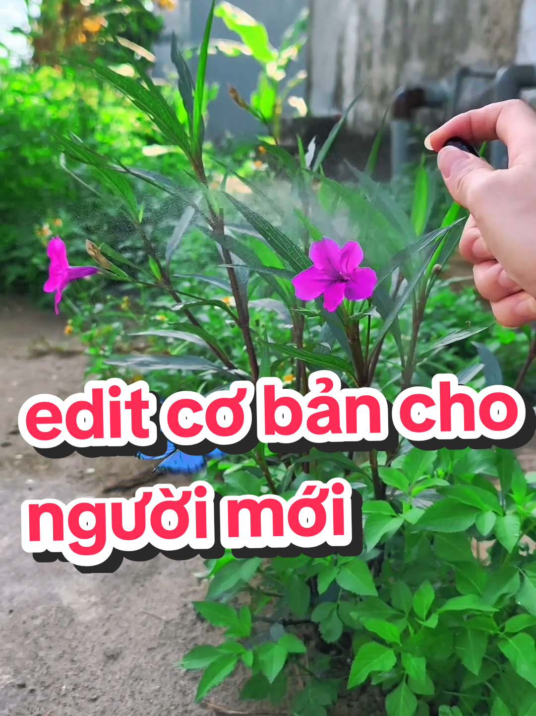 cách edit video sản phẩm cơ bản cho người mới #banhangonline #xuhuong #capcut #hongedit #chuyencanh #banhangonline #edit 