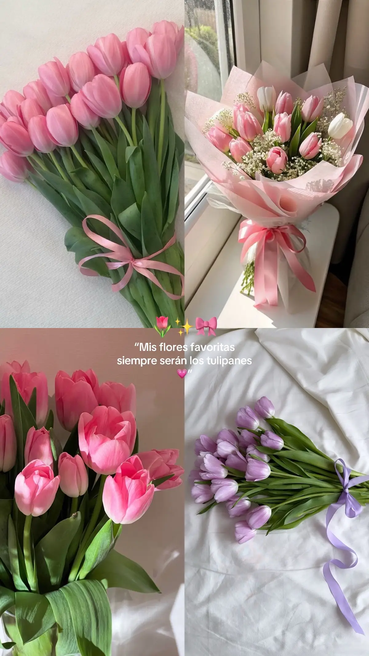 #tulipanes🌷 #foryoupage 