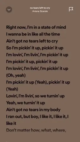 No tears left to cry- Ariana Grande #spotifylyrics#hits #Summer#trending#viralhits #fyppppppppppppppppppppppp 