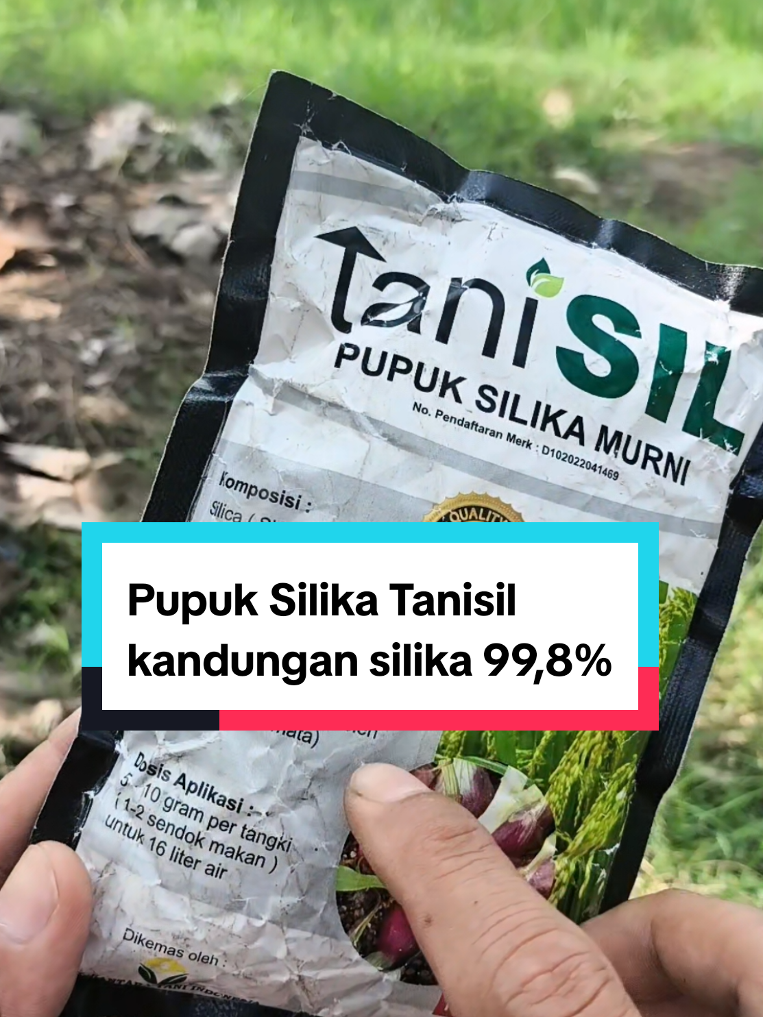 Pupuk Silika Murni TANISIL | Kandungan Silikanya 99,8 % untuk menguatkan batang tanaman padi sehingga tahan rebah dan tidak disukai hama wereng dan penggerek batang #pupuktanaman #penyuburtanaman #pupuksilika #tanisil #padisawah #camatonline 