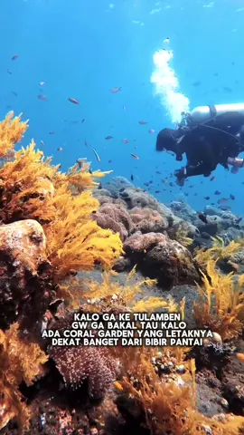 Lokasi Taman laut ini dekat banget dari pantai 😍