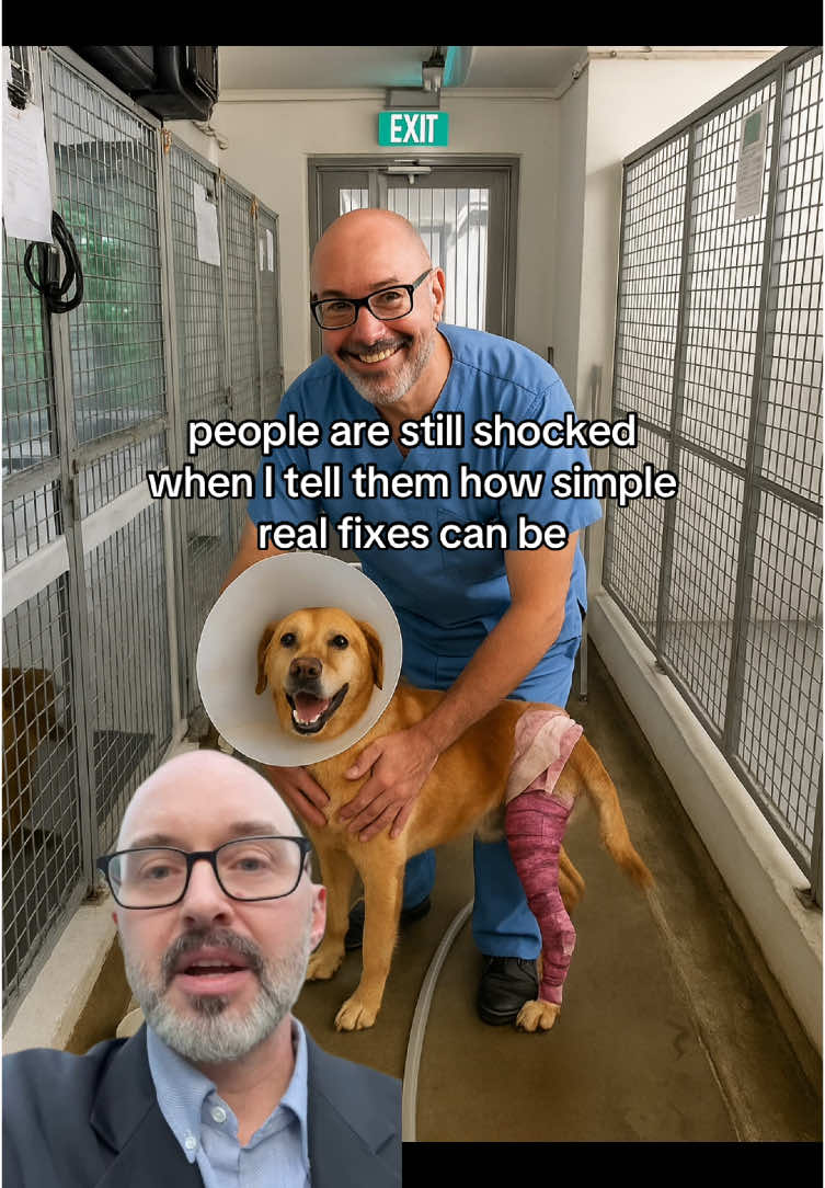 #petwellness #petstory #PetsOfTikTok #pets #pethealth #pethacks #petremedies #petsafety #dogsoftiktok #dogtok #dogs #petsagram 