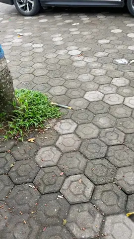 Msih masuk ji 2 jari pak🤣