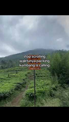 share pengalaman ke gn kembang dong #fyp #wonosobo24jam 