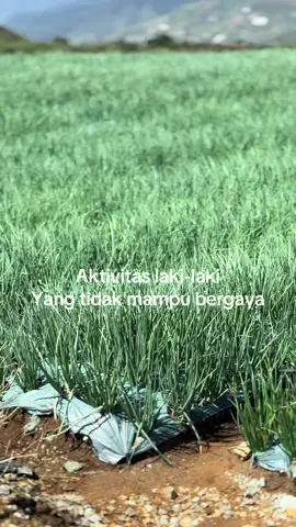 #vikyzalranramadhan #zalrangroup #fyp #petanimuda #petaniindonesia🇮🇩🇮🇩🇮🇩🌿🌿 #petani #fypage #xyczba 