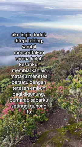 #fyp #quote #mountain #ciremai3078mdpl 