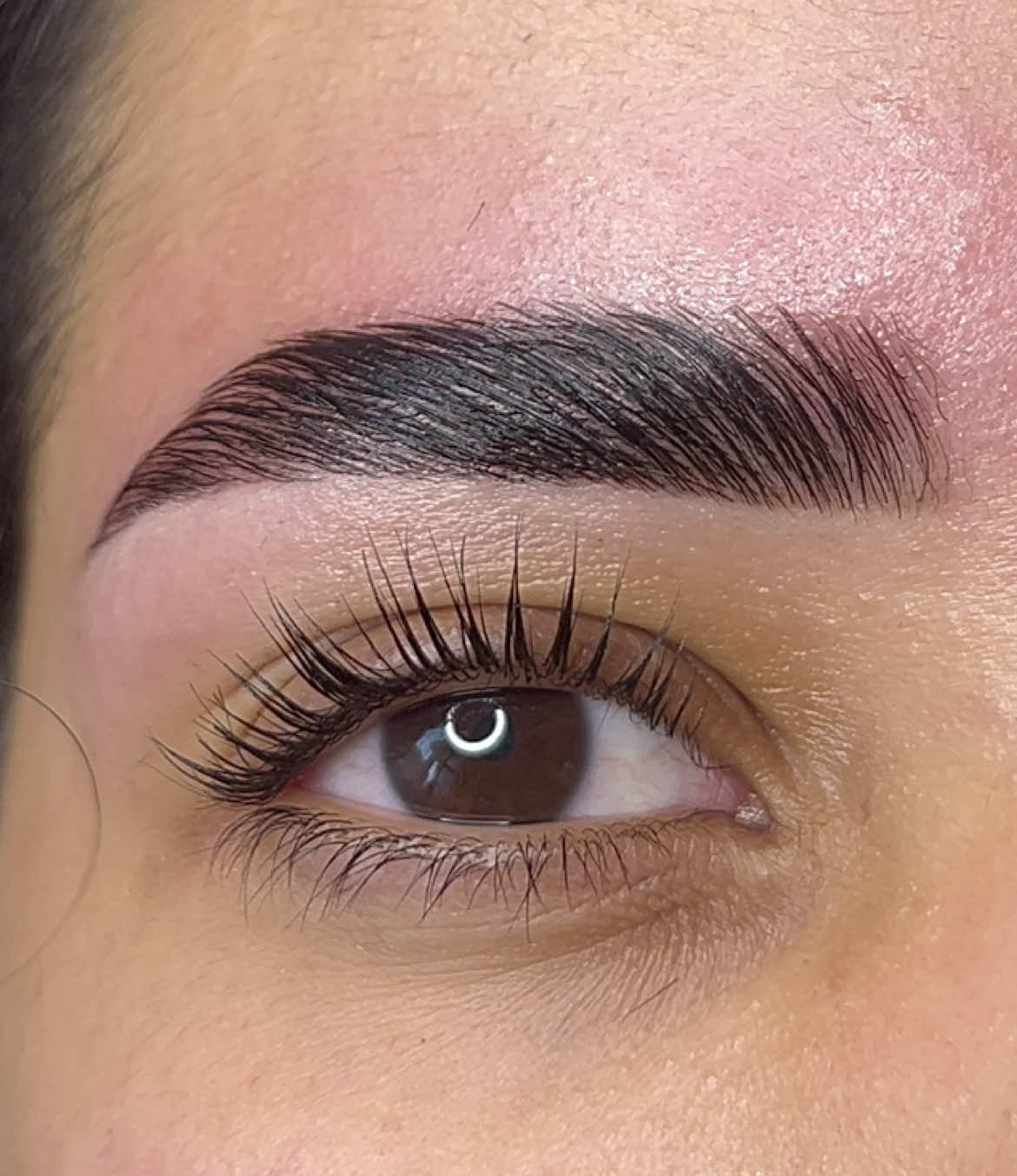 Les filles je pense on a toute eu envie un jour de faire ce genre de forme mais on a toujours peur de couper court le sourcils et se retrouver avec un demi sourcil 😂, bref elle dans son cas je fais jamais comme ca. Mais cette fois ici a force de la connaître de presta en presta j’ai bien compris sa demande et on a tenter et finalement c’est ce qui lui vas le mieux ! Elle a valider et j’ai aimer également ❤️ #BeautyTok #pourtoii #foryouu #brow #browlift #browlamination #mapping #teinturesourcils #zola #shapping #packbrows #restrucuturationdessourcils #epilation #angouleme 