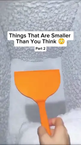 Things That Are Smaller Than You Think 😳 #fyp  #viral #small