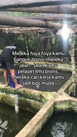 Bapak said “habiskan masa mudamu untuk membangun bisnismu sendiri bukan membangun bisnis orang lain” #peternaklele #peternaklelenganjuk #budidayalele #nganjuk #nganjuk #peternakmilenial #sukses 