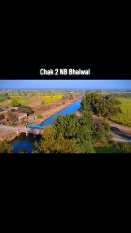Chak 2 NB Bhalwal 💝  #chak2nb #village #beauty #pindawale #pind #sohnapind 