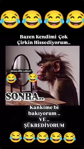 Kanka na gönder 😂 #golgelerinlordu47 #keşfetbeniöneçıkar #keşfetteyizzz #keşfet #komik #komikvideolar #komikreplikler #komikvideolarim #komedia #komedikocak #komeditiktok #reels #reelsinstagram #reels__tiktok #reelsviral #mardin #tarsus #mersin #2025 #komedi 