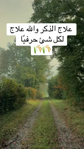 تاج الذكر ✨👌🏻🌾#تاج_الذكر #الصلاة_الابراهيمية #عرفة 