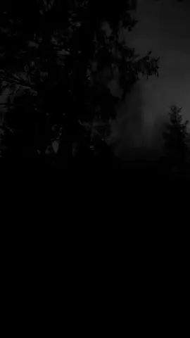 #storytime 