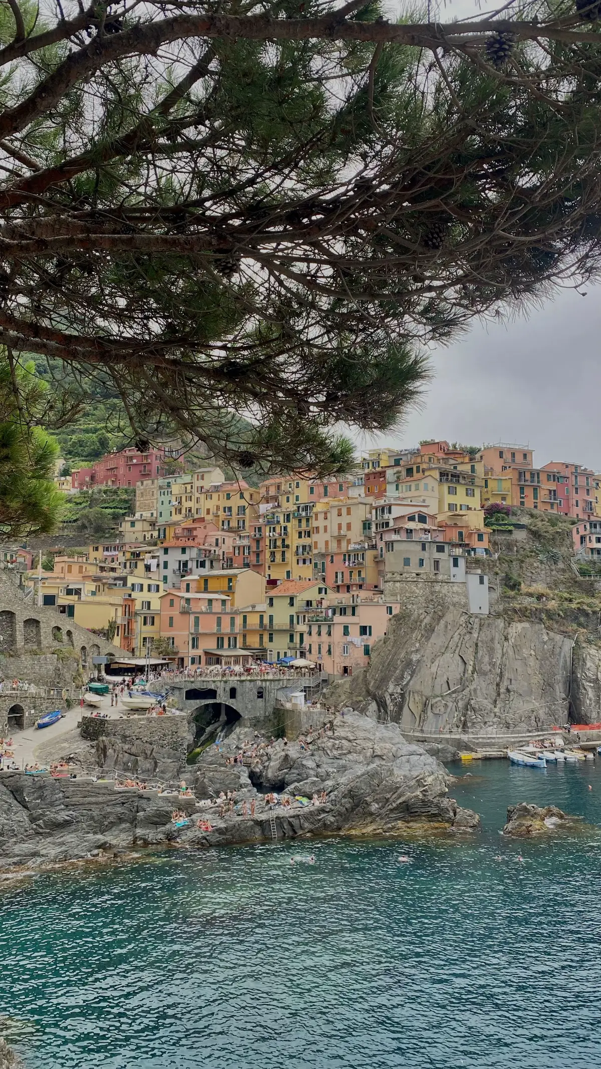 La dolce vita 🛵🇮🇹🍋 #italy #cinqueterre #portofino 