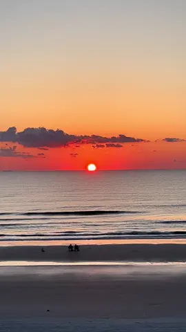 I can see clearly now ☀️#newsmyrnabeach #nsb #thewatermark 