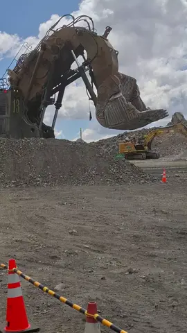#cat6060 