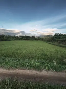 站在火上才知道谁是君子，站在金堆上才知道谁是小人……！”Đứng trên lửa mới biết ai là quân tử,đứng trên đống vàng mới biết ai là tiểu nhân..!” #xuhuong #fpy #tamtrang #chill #buon #ngocan❄️ 