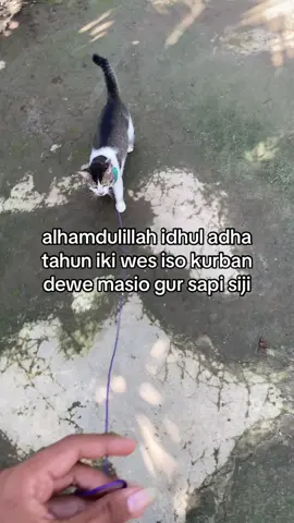 bersyukur tenan🥰#xyzbca #fypage #idhuladha 