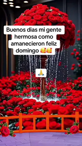 #buenosdias #paratiiiiiiiiiiiiiiiiiiiiiiiiiiiiiiiiii🦋 
