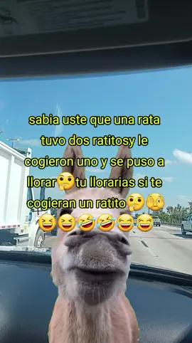 #viraltiktok #humortiktok #parati #parati 