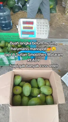 #sultansmoothiesmataram #smoothiemangga #fyppppppppppppppppppppppp 