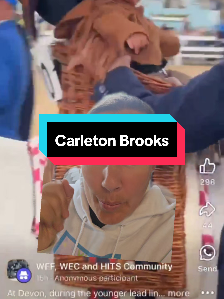 Proof that equestrians will do absolutely anything to win. Carleton Brooks in the younger leadline class at Devon #horses 