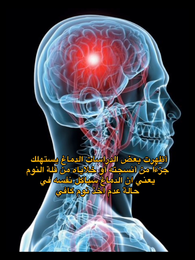 #fyp #viral #education #foryoupage #fypシ゚ #vural #science #stayhealthy #sleep #الشعب_الصيني_ماله_حل😂😂 