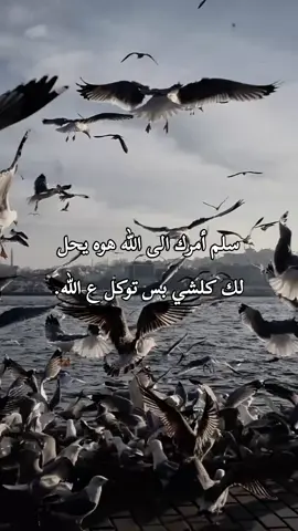 #تحذير_الحساب💔😔 #تصميمـيـ🖤🌚 #تم_تحذير_حسابي #تصميم_فيديوهات🎶🎤🎬، 
