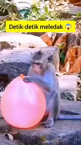 Detik-detik meledak 😱 #fyp #kontenlucu #jangkauanluas #reels #videolucu #fbviralreels  #komedian #funnyvideo #fbpro #funnyreels #komedi #fbviralreels