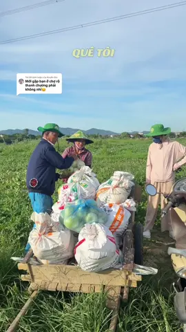 Trả lời @Huyền Em Nghệ An mãi đỉnh #utlanh #dailyvlog 