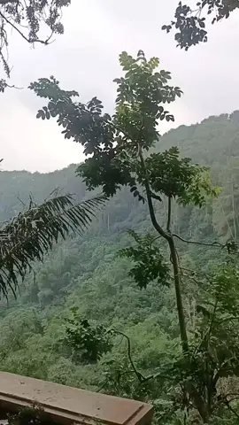 Taman Huta Raya Dago Bandung masih asri, karawat... Goa Belanda, goa jepang jeung tempat buhun laina beuki rame didatangan turis lokal... #tanahsunda  #pepelingdiri  #pepelingsunda  #lemburkuring  #lagusundaviral  #alamsunda  #lagusundaviral  #berandatiktok  #fypage  #fyppppppppppppppppppppppp  #fypシ゚ 