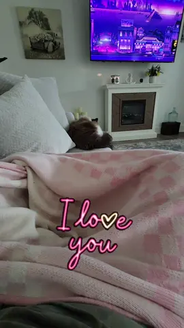 I love and adore you my sweet Dolly 💕 my cats bring me peace. Comment down below who brings you peace......🫶 #adoreyou #peace #mycats #catmomlife #lifewithcats #catlove #catlover #catlife #catcontent #4ever #iloveyou #bringpeace #beautifullife #catmama #ragdollcat #ragdollcatsoftiktok #cats #catsoftiktok #housecat #mylife #cattok #cutecatvideo #catowner #catpeople 