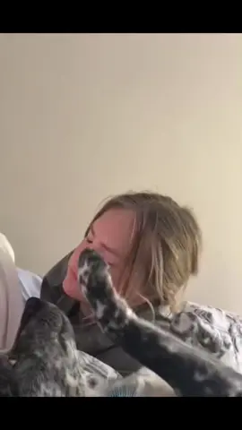 #funny #funnyvideos #talking #viral #voiceover #animals #tiktok #pets #dogs #cats #foryoupage 