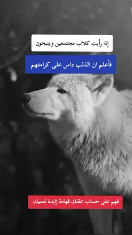 #F #fy #f #fyp #شعب_الصيني_ماله_حل😂😂 #شلفاوة_والحلاوة🔥 #ابوني_ياك_باطل_ولا_حنا_مانستاهلوش #ابوني_ربي_يحفظلك_الوالدين🥺❤🙏 