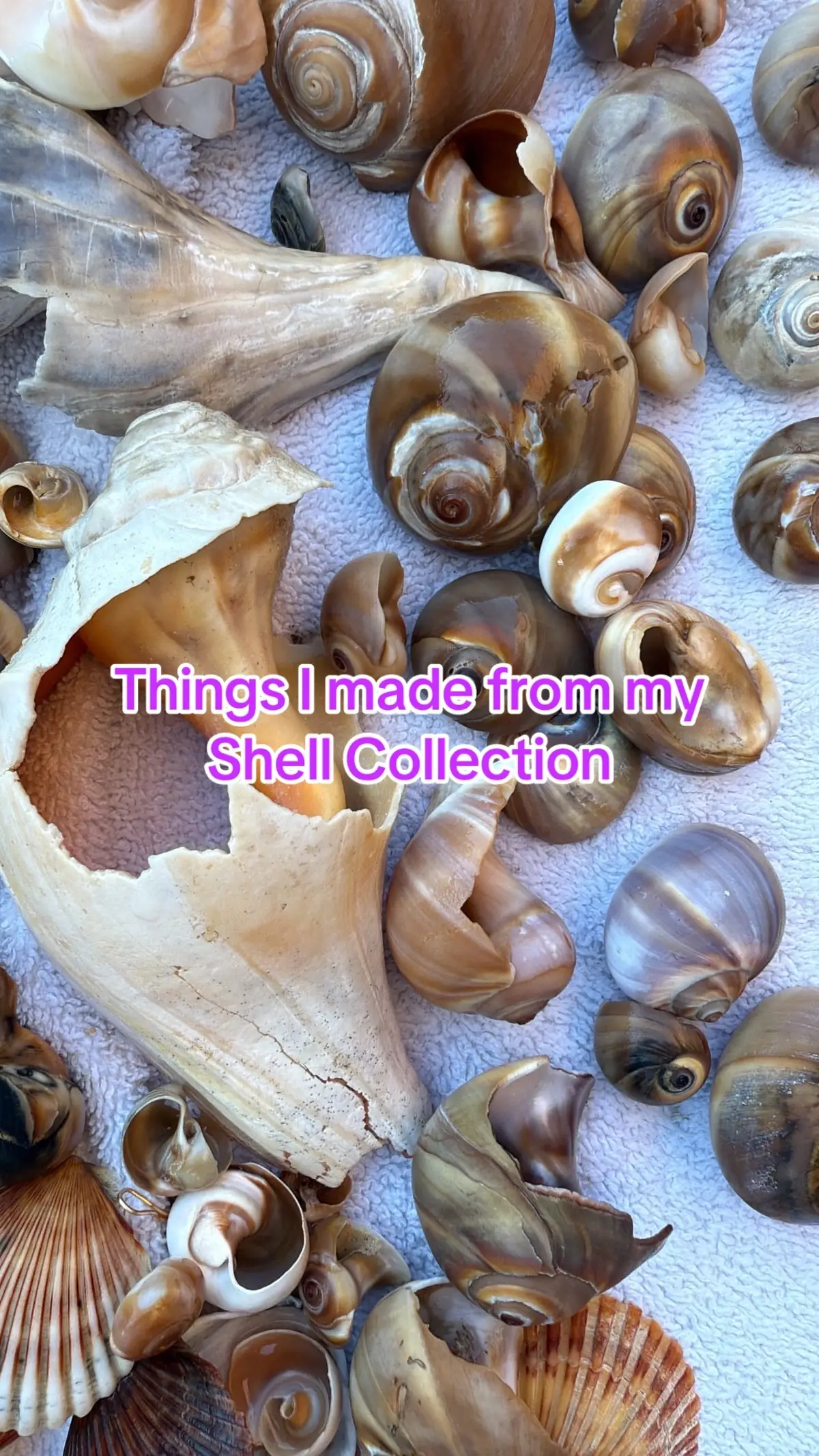Finally making use of my shell collection and getting creative with some DIY crafts #DIY #shellnecklace  