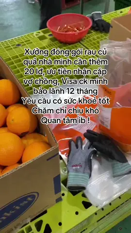 Công việc đều quanh năm #nongnghiephanquoc 