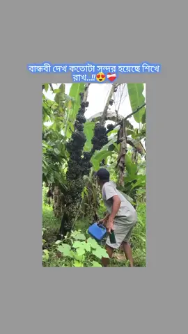বান্ধবী দেখ..!!😍❤️‍🩹 #vairal_video_tiktok #unfrezzmyaccount🙏🙏 #tiktokbangladesh🇧🇩 #foryoupage #1M 