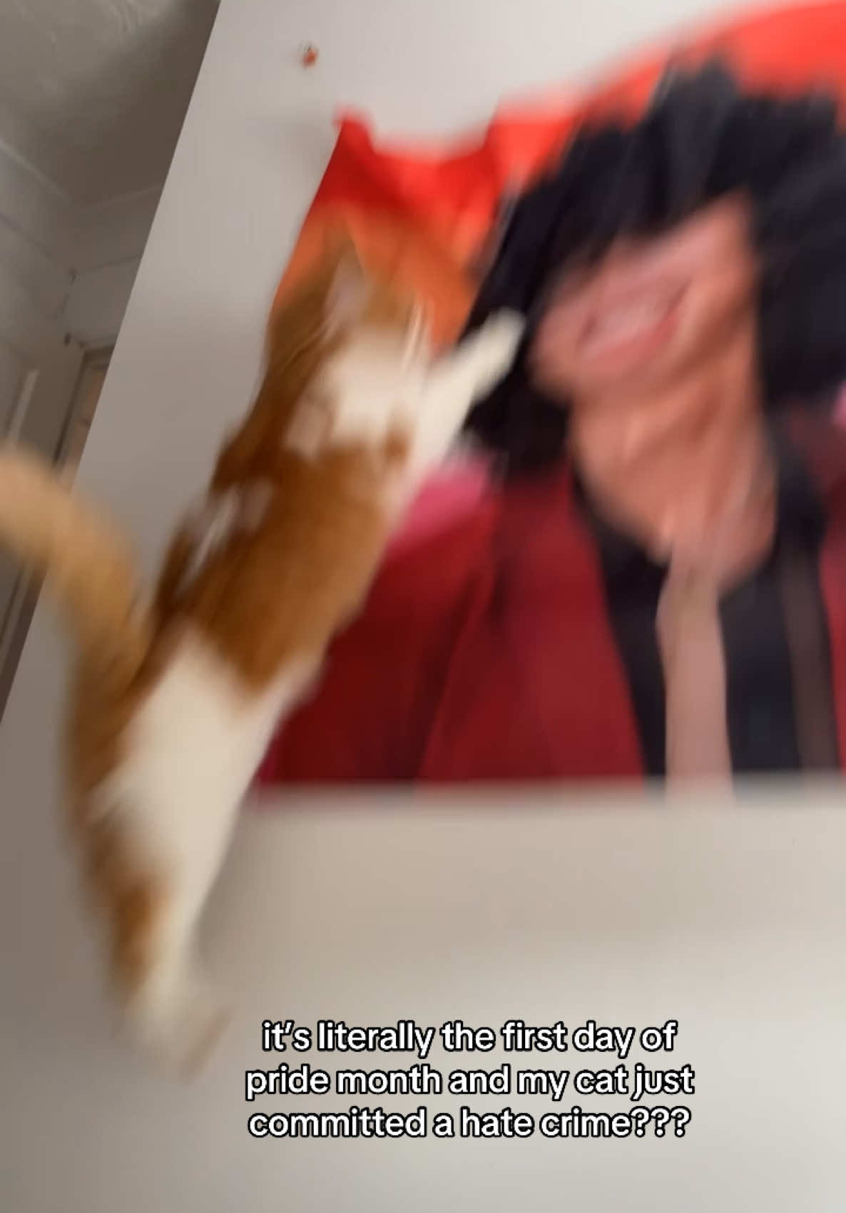 apologies @reneé & @Towa Bird i thought i raised him better than this  #fyp #Pride #pridemonth #pridecat #towabird #reneerapp #queer #gay #lesbian #catfunny #catmeme #lesbiansoftiktok #pridemonth🏳️‍🌈 #funny