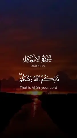 القرآن الكريم #ذلكم_الله_ربكم #لا_اله_الا_الله #لا_إله_إلا_الله #اللهم_صل_على_نبينا_محمد #fyp 