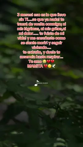 #duelo #tresmesesdetupartida #mimamitaenelcielo🕊️🕊️🌹🌹 😭😭😭😭