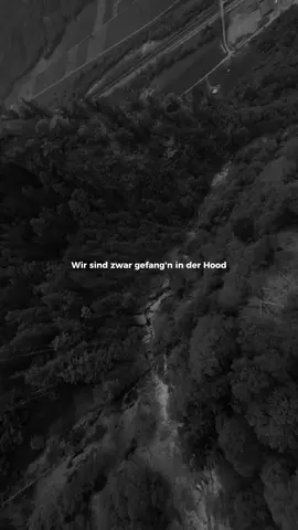 Rapstar | #amo #nimo #deutschrap #musik #song 