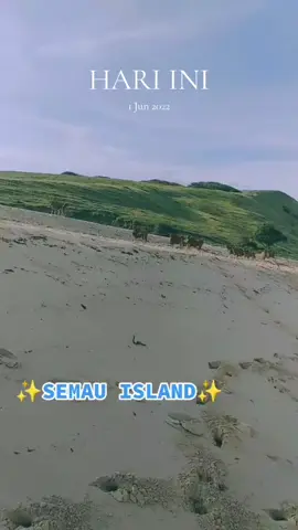#padahariini
