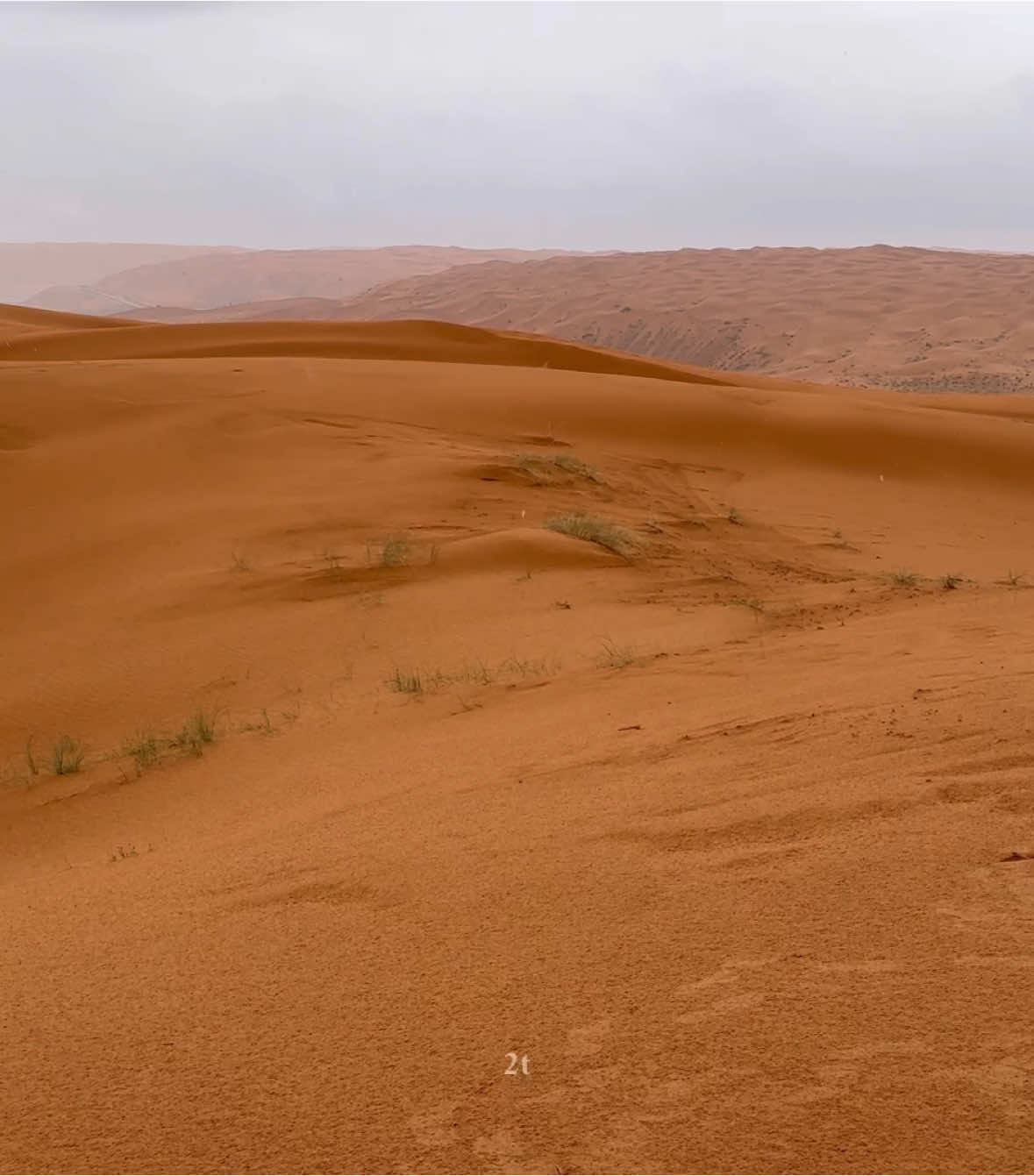 هلت سحايبها من الحب هتّان 🌧️🤎            #فلاح_المسردي #بدون_موسيقى #الشتاء 