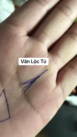 Vân Lộc Tú #huyenvhtt #chitay #xemchitay #chitaytuongso #phongthuy 