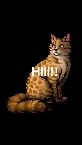 IM BACK :D #leopardstar 