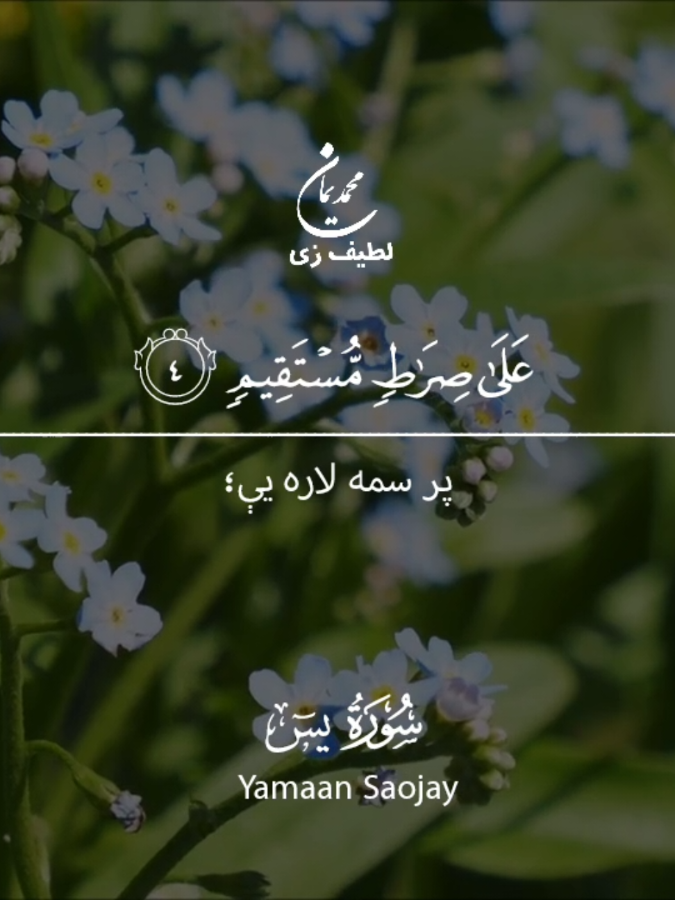 سورة یس ۱ آيات نه تر ۲۱ ايت پورې د قرآن کريم پښتو ژباړه  #قرآن_پښتو #اسلام_زموږ_دين #افعانستان #قرآن_زما_لارښود #قرآني_پیغام #ورځنی_ايت  #m.yamaan.tawheedey