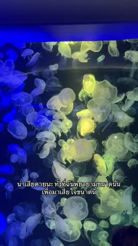 ❤️‍🩹 #เธรดเศร้า #เธรดความรู้สึก #คําคม #เศร้า #ฟีดดดシ 