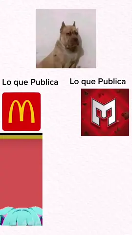#macdonalds #emperdador #humor #paratii 